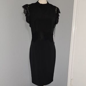 "EVA LONGORIA" Elegant Black Lace Accent Dress SZ 8